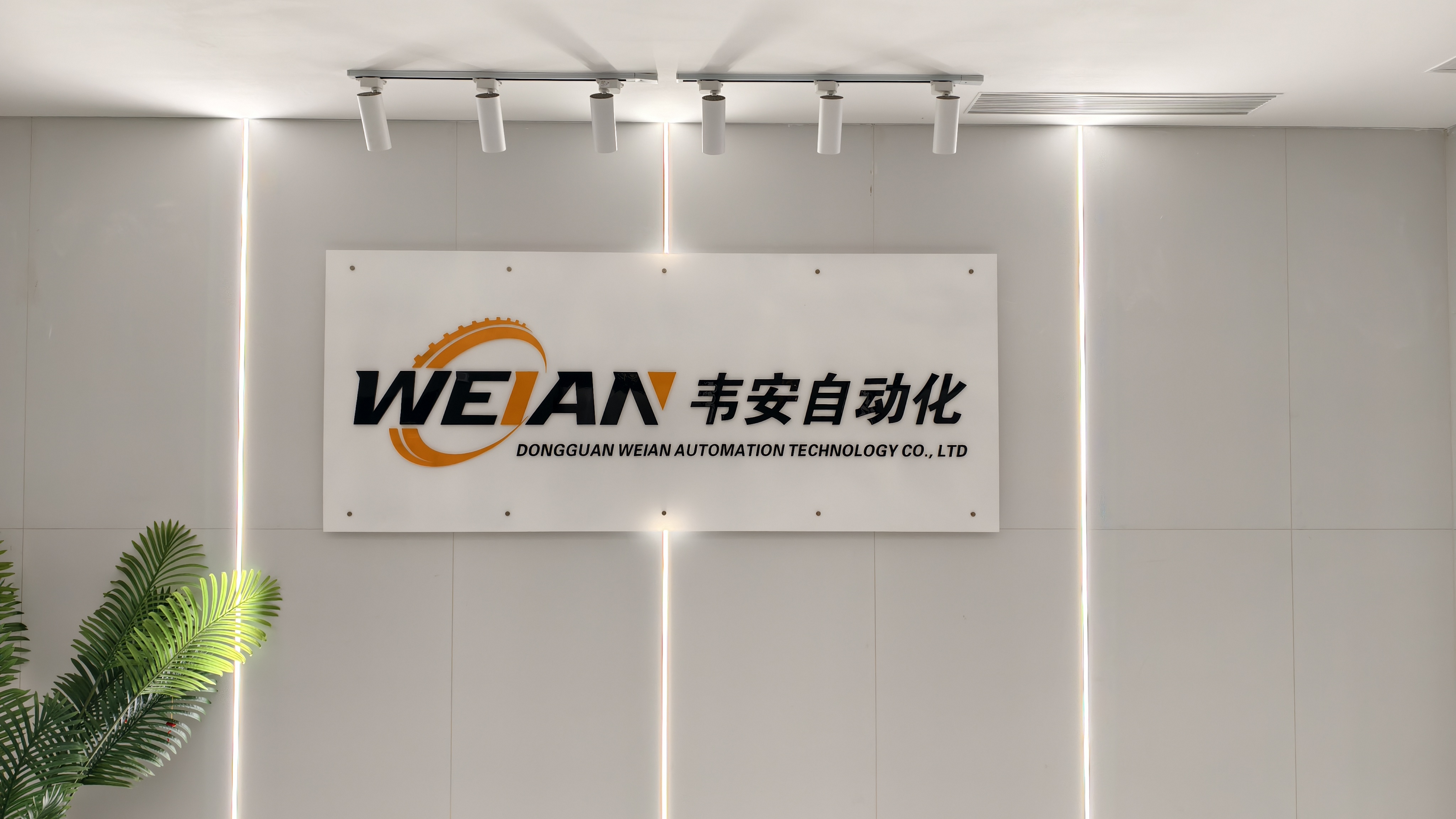 Weian Automation: Advancing Packaging Automation Through Continuous Innovation